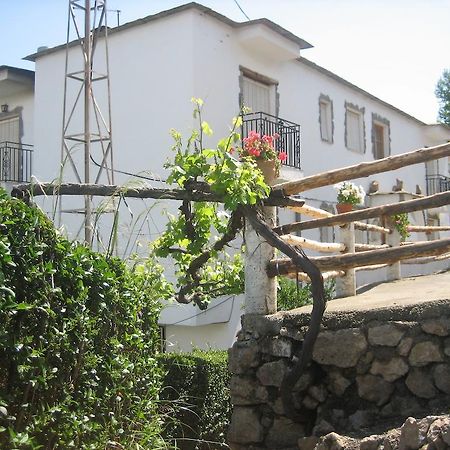 Alojamiento Rural Mirador Del Avellano Alpujarra De La Sierra Eksteriør billede