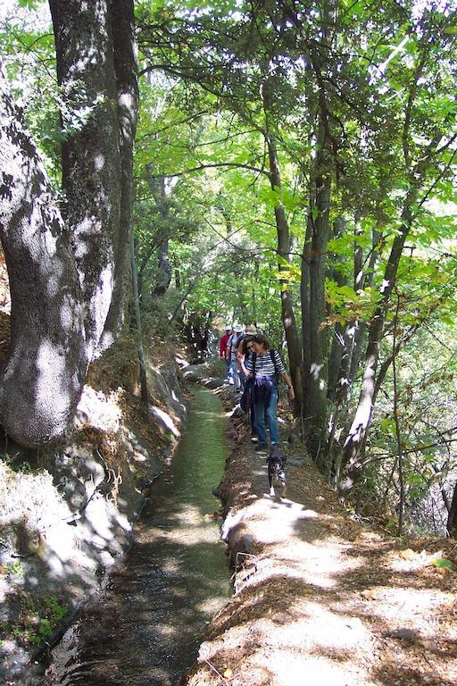 Alojamiento Rural Mirador Del Avellano Alpujarra De La Sierra Eksteriør billede
